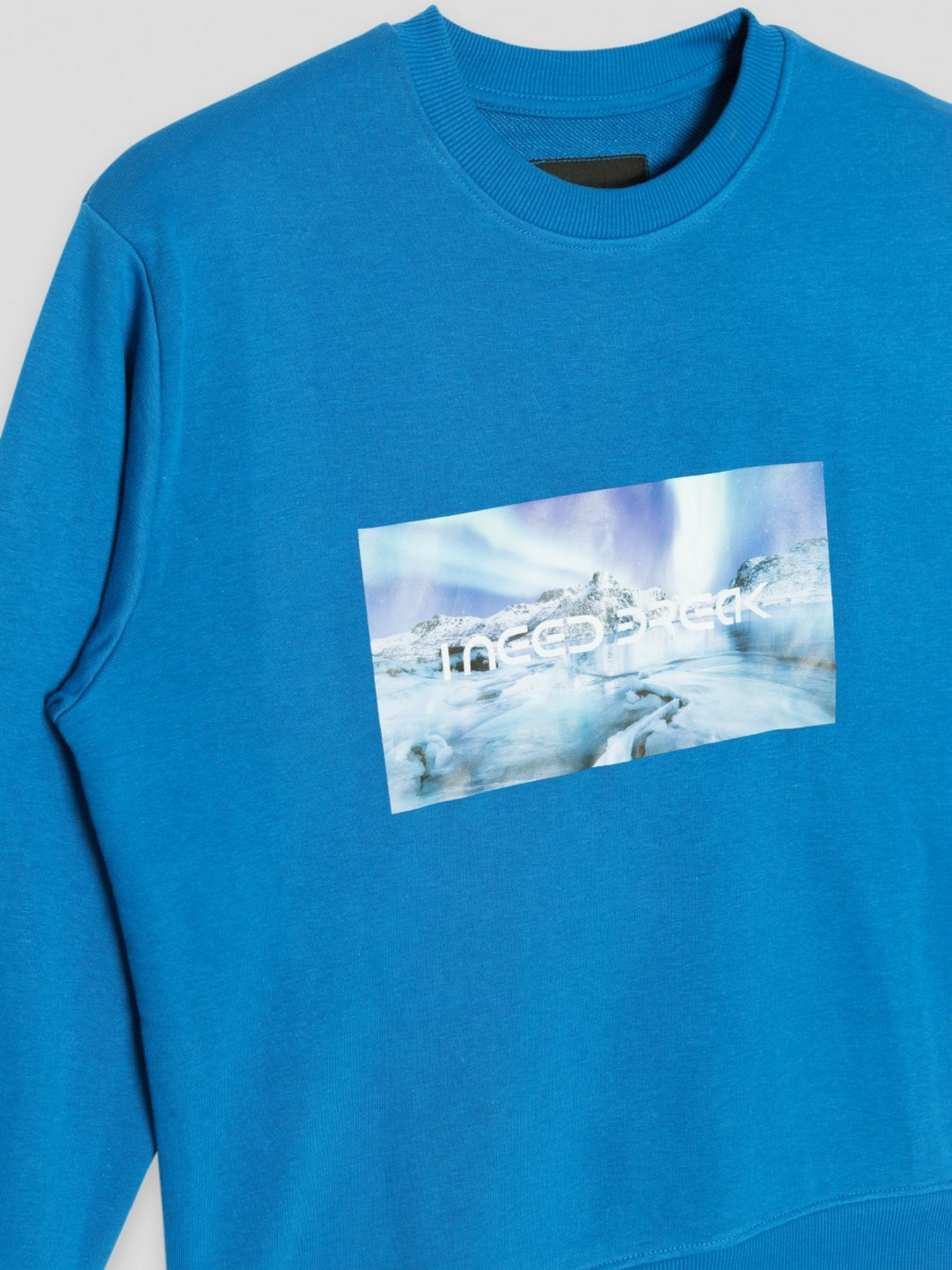 Свитшот Reporter Young модель 223-0550B-45-476-1 Фото