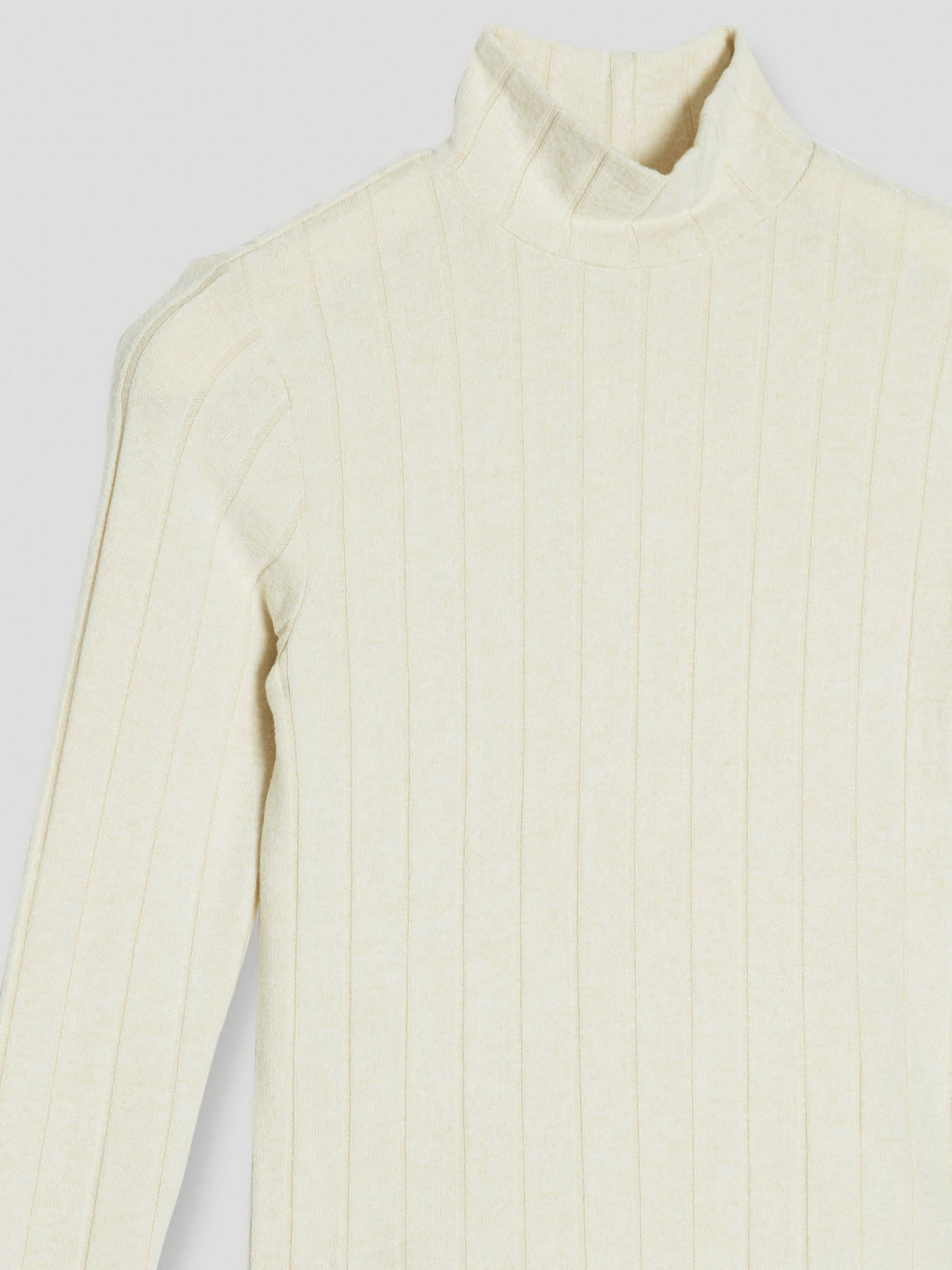 Водолазка Reporter Young модель 223-0770G-07-210-1 Фото