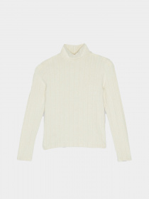 Водолазка Reporter Young модель 223-0770G-07-210-1 Фото