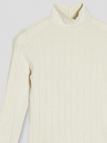 Водолазка Reporter Young модель 223-0770G-07-210-1 Фото