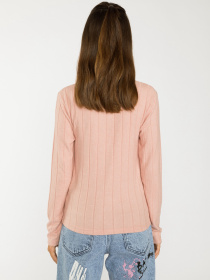 Водолазка Reporter Young модель 223-0770G-07-600-1 Фото