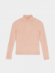 Водолазка Reporter Young модель 223-0770G-07-600-1 Фото