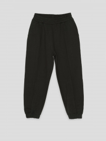 Джоггеры Reporter Young модель 231-0117G-02-100-1 Фото