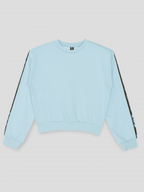 Світшот Reporter Young модель 231-0550G-11-410-1 Фото