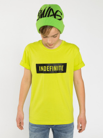 Футболка Reporter Young  Idefinite модель 221-0440B-03-501-1 Фото