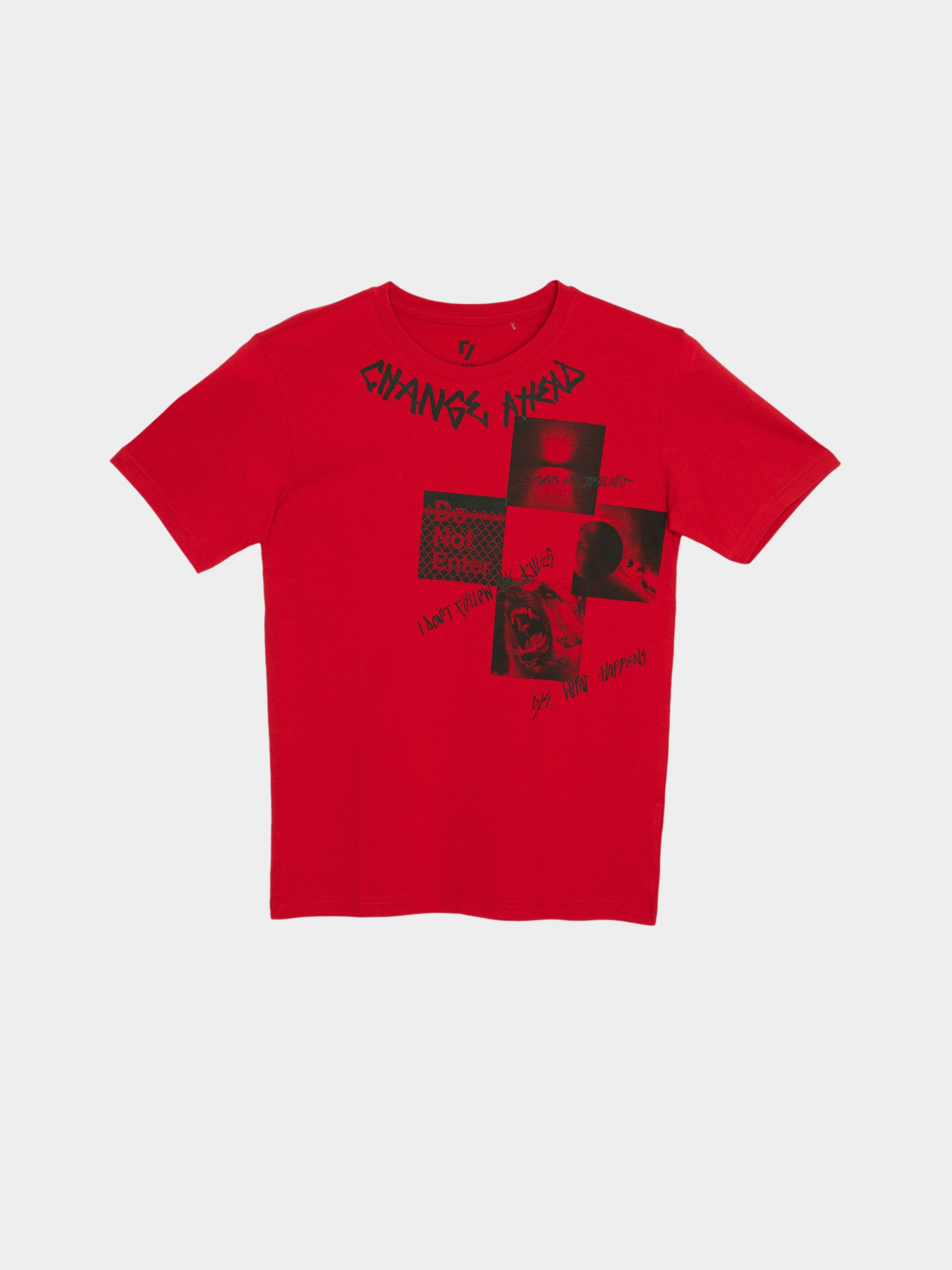 Футболка Reporter Young модель 231-0440B-29-669-1 Фото