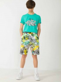 Шорты Reporter Young модель 231-0113B-61-900-1 Фото