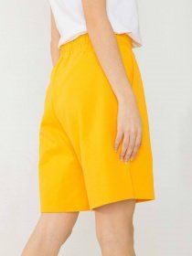 Шорты Reporter Young модель 231-0113G-19-350-1 Фото