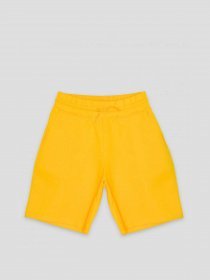 Шорты Reporter Young модель 231-0113G-19-350-1 Фото