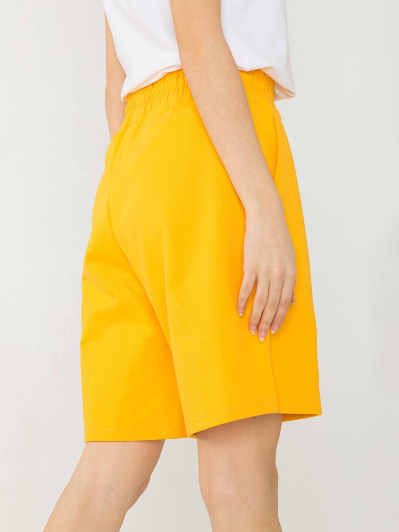 Повсякденні шорти Reporter Young модель 231-0113G-19-350-1 Фото