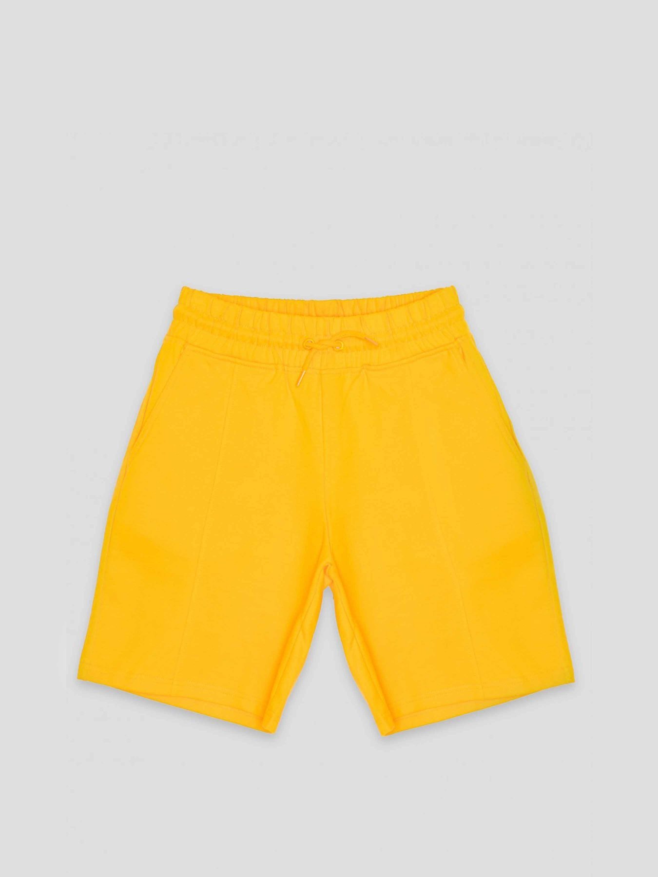 Повсякденні шорти Reporter Young модель 231-0113G-19-350-1 Фото