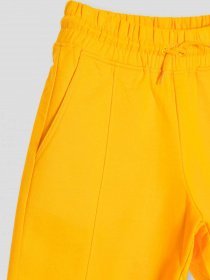 Повсякденні шорти Reporter Young модель 231-0113G-19-350-1 Фото