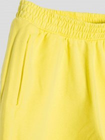 Повсякденні шорти Reporter Young модель 231-0113G-56-320-1 Фото