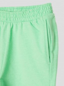 Шорты Reporter Young модель 231-0113G-56-540-1 Фото