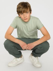 Футболка Reporter Young  Think Green модель 221-0440B-15-507-1 Фото