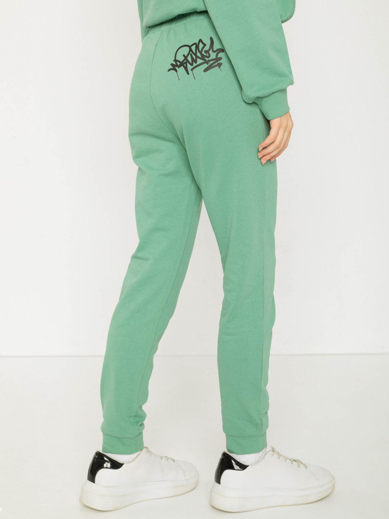 Джоггеры Reporter Young модель 233-0117G-07-550-1 Фото