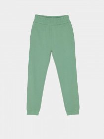 Джоггеры Reporter Young модель 233-0117G-07-550-1 Фото