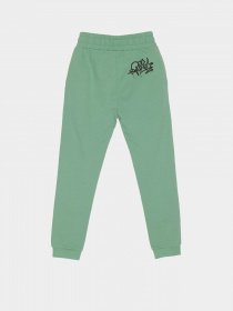 Джоггеры Reporter Young модель 233-0117G-07-550-1 Фото