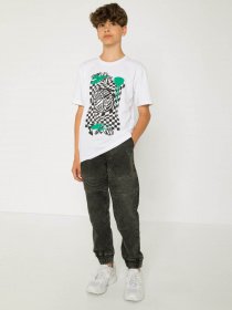 Футболка Reporter Young модель 233-0440B-19-200-1 Фото