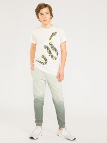 Футболка Reporter Young  Think Green модель 221-0440B-21-102-1 Фото