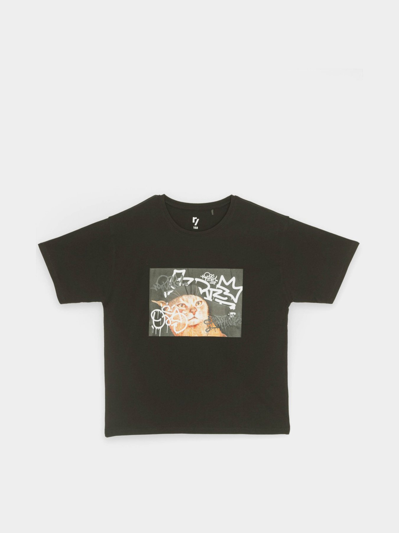 Футболка Reporter Young модель 233-0440G-12-100-1 Фото