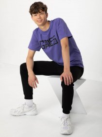 Футболка Reporter Young модель 233-0440B-13-680-1 Фото