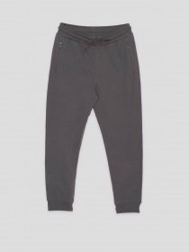 Джоггеры Reporter Young модель 233-0117B-21-160-1 Фото