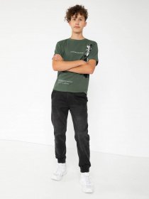 Футболка Reporter Young модель 233-0440B-33-590-1 Фото