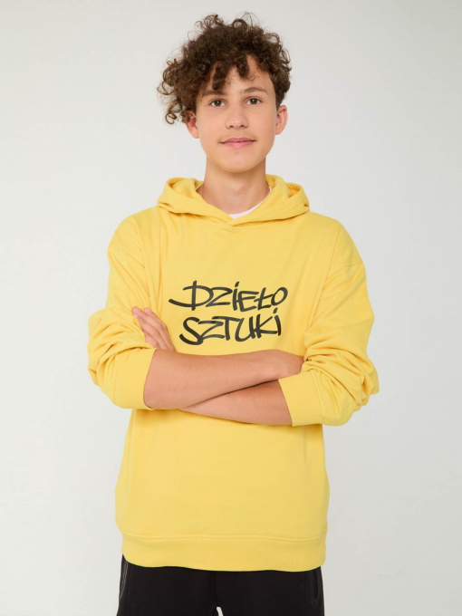 Худи Reporter Young модель 233-0551B-29-351-1 Фото