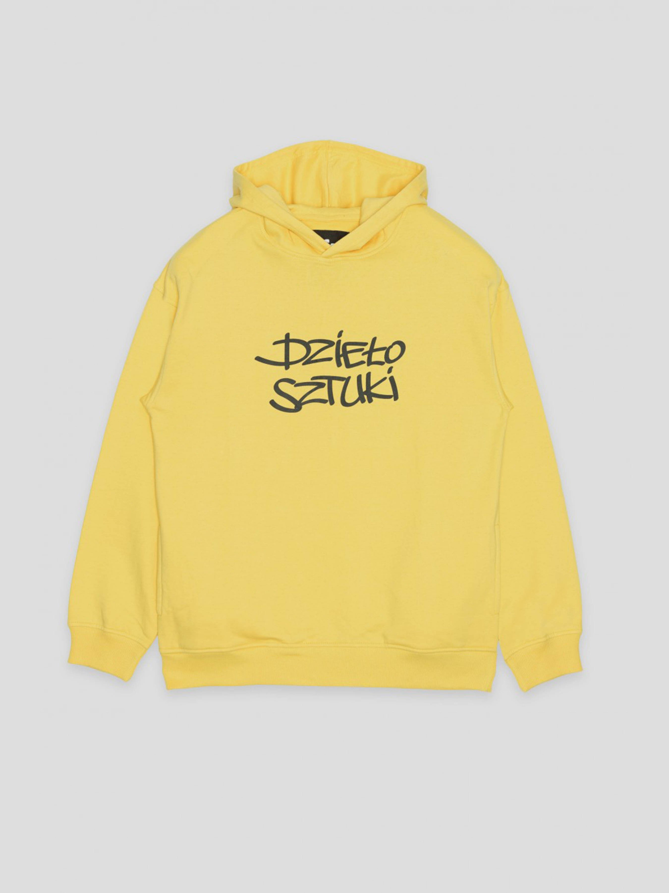 Худі Reporter Young модель 233-0551B-29-351-1 Фото