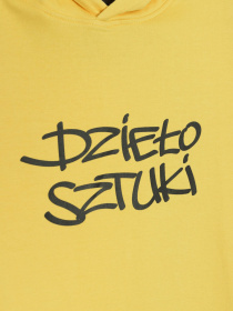 Худі Reporter Young модель 233-0551B-29-351-1 Фото