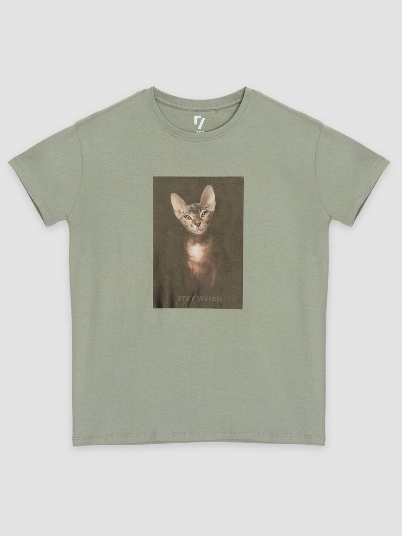 Футболка Reporter Young модель 233-0440G-21-550-1 Фото