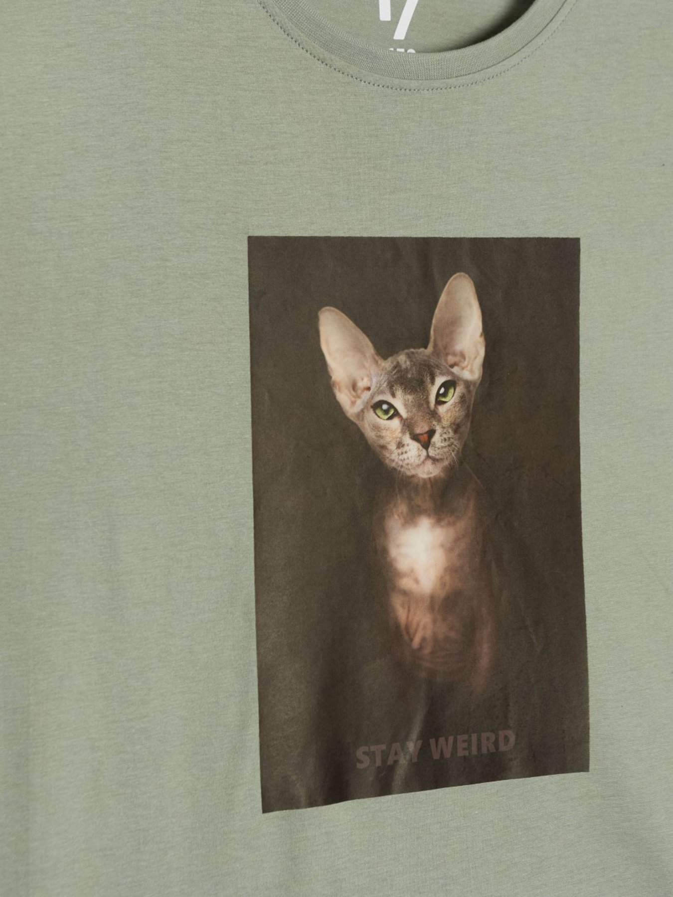 Футболка Reporter Young модель 233-0440G-21-550-1 Фото