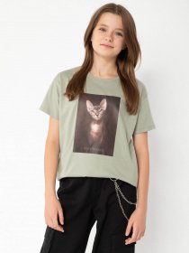 Футболка Reporter Young модель 233-0440G-21-550-1 Фото