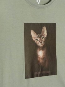 Футболка Reporter Young модель 233-0440G-21-550-1 Фото