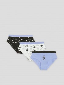 Набір трусів Reporter Young модель 233-0999G-17-100-1 Фото