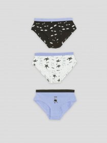 Набір трусів Reporter Young модель 233-0999G-17-100-1 Фото