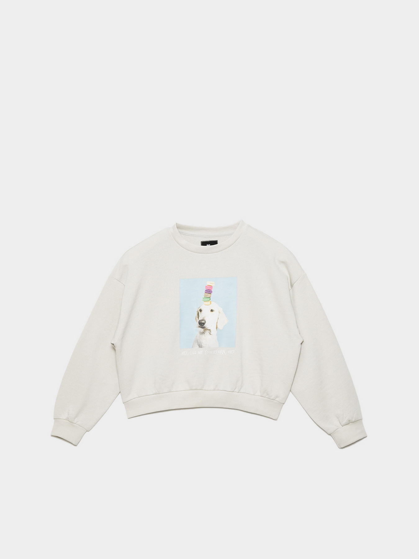 Свитшот Reporter Young  Food Is My Mood модель 221-0550G-13-120-1 Фото