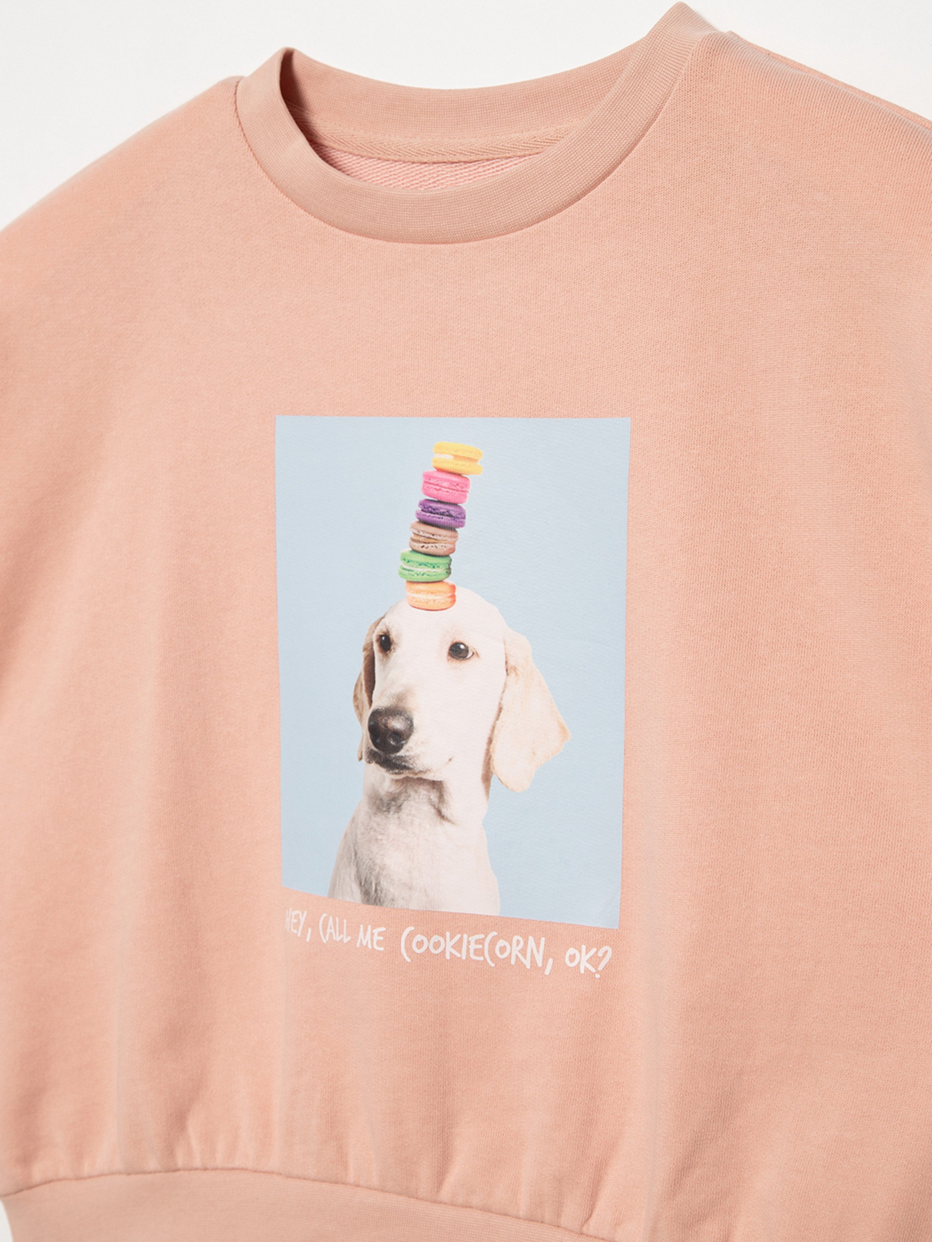 Свитшот Reporter Young  Food Is My Mood модель 221-0550G-13-640-1 Фото