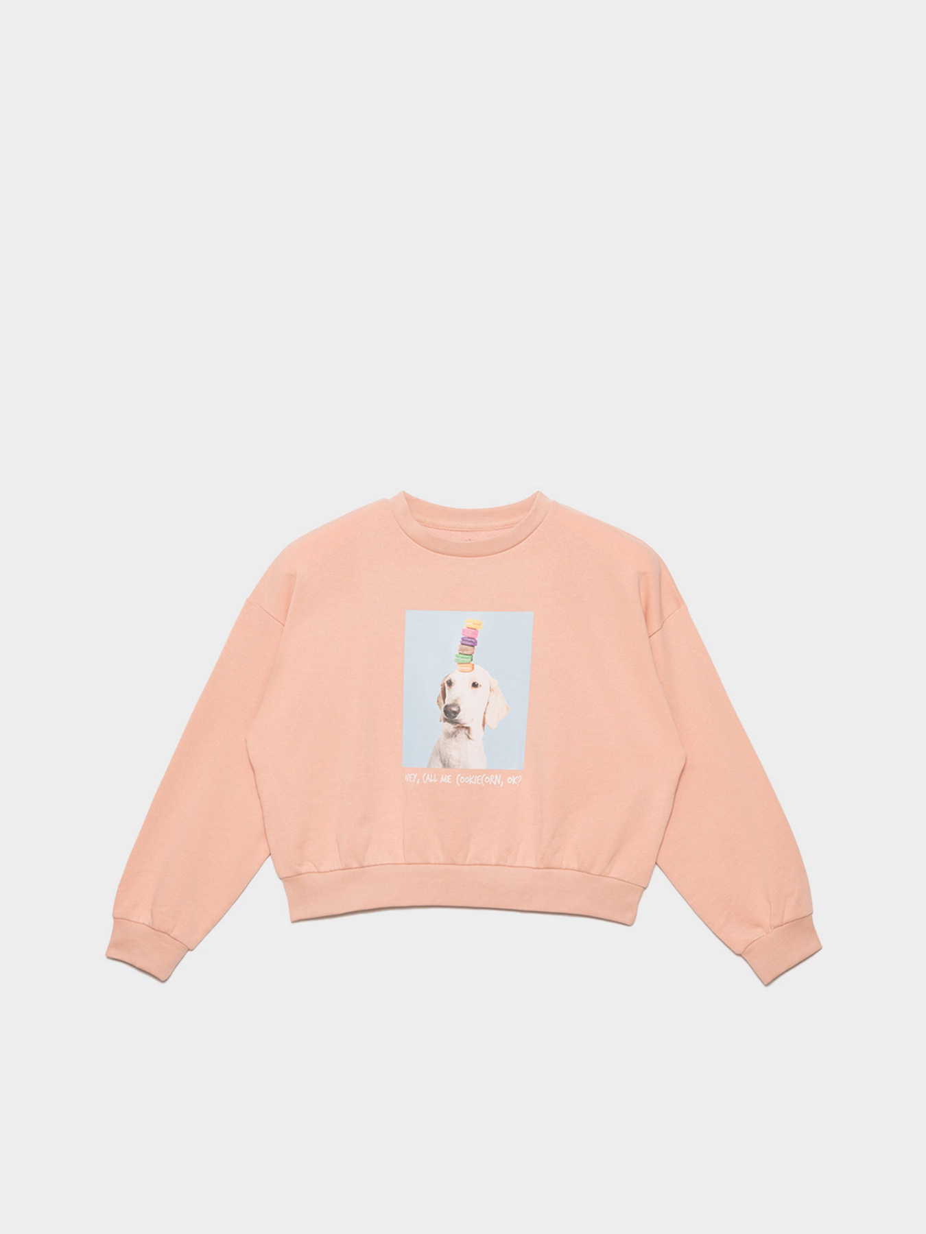 Свитшот Reporter Young  Food Is My Mood модель 221-0550G-13-640-1 Фото