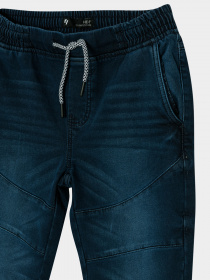 Джоггеры Reporter Young модель 223-0110B-50-000-1 Фото