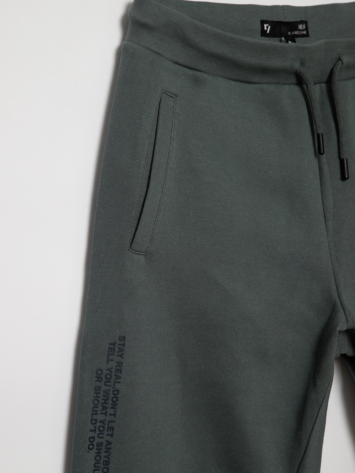 Спортивні штани Reporter Young  Stay Real модель 221-0117B-07-180-1 Фото