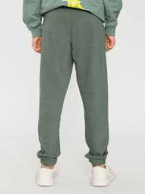 Спортивні штани Reporter Young  Stay Real модель 221-0117B-07-180-1 Фото