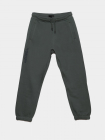 Спортивні штани Reporter Young  Stay Real модель 221-0117B-07-180-1 Фото