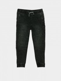 Джоггеры Reporter Young модель 223-0110B-50-001-1 Фото