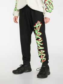 Джоггеры Reporter Young модель 223-0117B-13-100-1 Фото