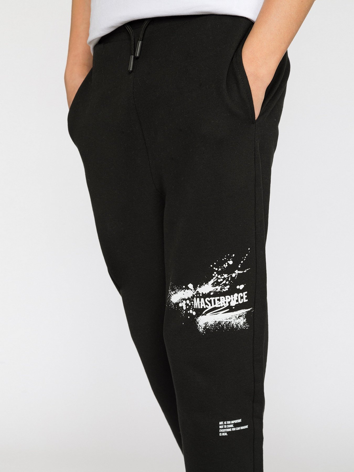 Штаны спортивные Reporter Young  Artist модель 221-0117B-15-100-1 Фото