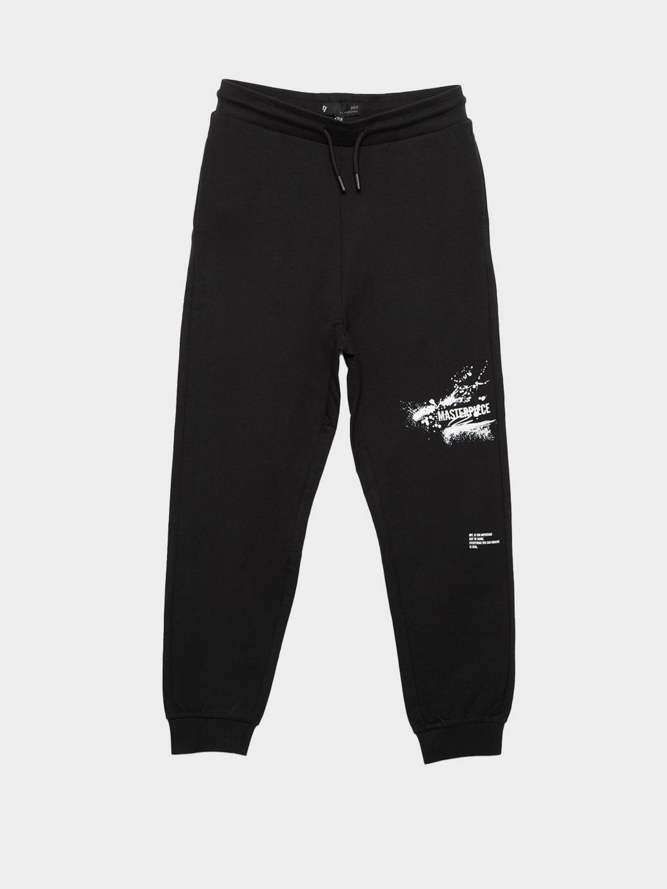 Штаны спортивные Reporter Young  Artist модель 221-0117B-15-100-1 Фото