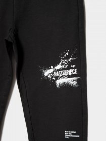 Штаны спортивные Reporter Young  Artist модель 221-0117B-15-100-1 Фото