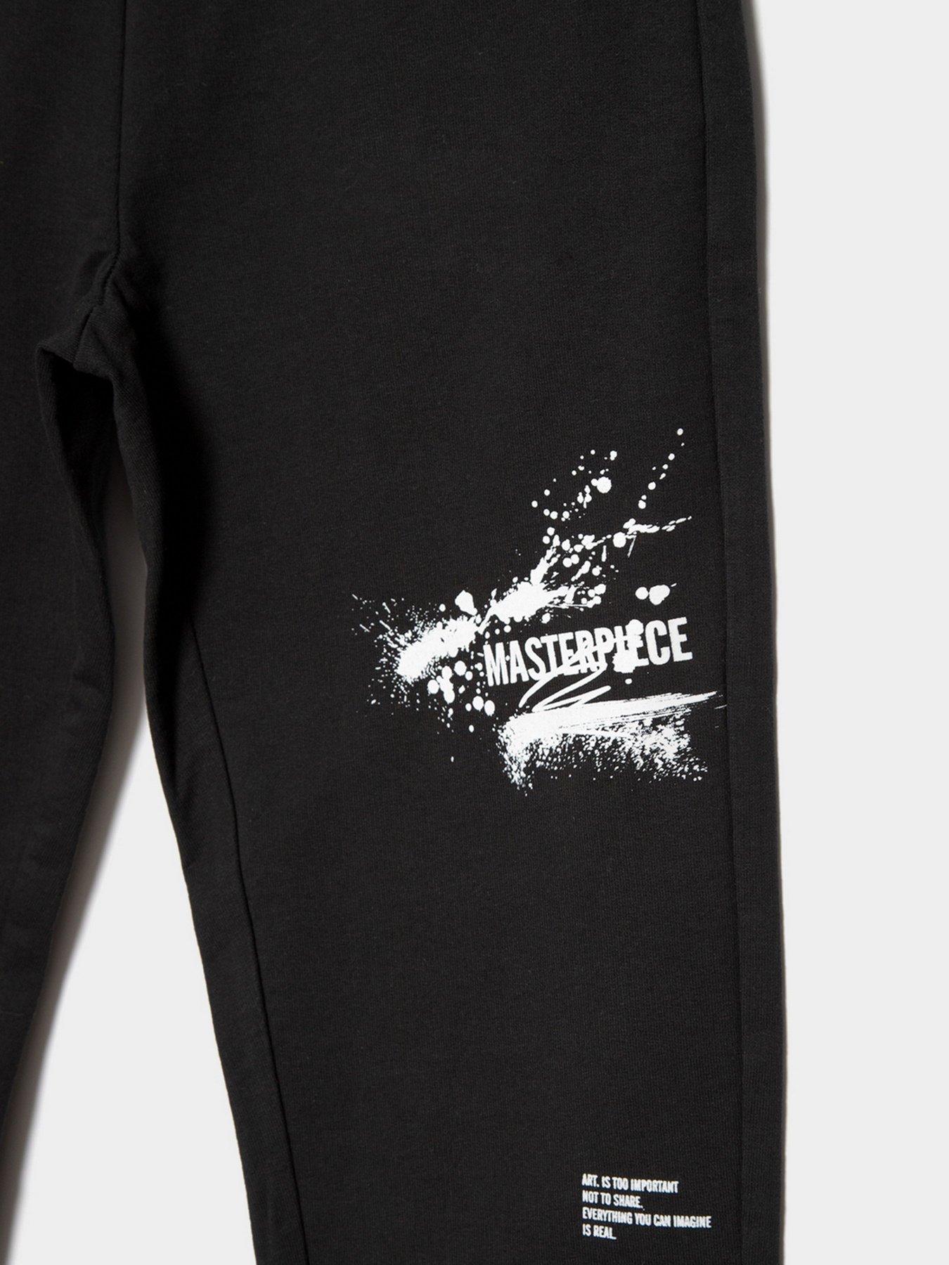 Спортивні штани Reporter Young Artist модель 221-0117B-15-100-1 Спортивні штани Reporter Young Artist модель 221-0117B-15-100-1 Фото